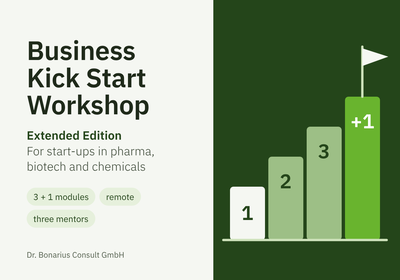 Business Kick Start Workshop, Extended Edition: 3 foundation modules plus an individual deep-dive module
