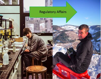 Application documents check 