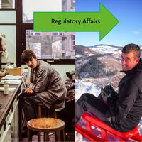 Application documents check 